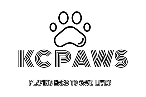 Partner with P.A.W.S (Protective Animal Welfare Society)