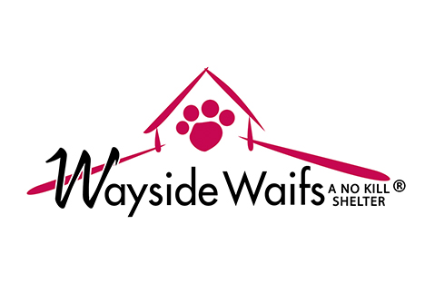 Partner with Wayside Waifs Animal Shelter